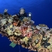 wreck_numidia_bro_b_ni_v_0370_egy0845.jpg